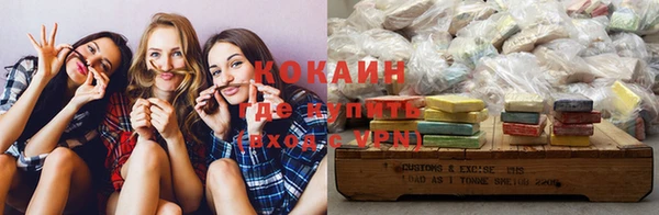 кокс Алексин