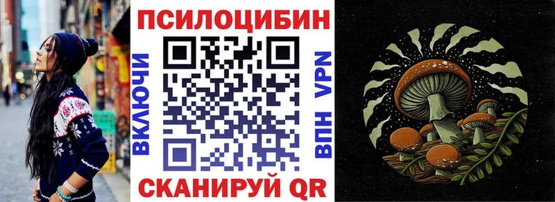 OMG ТОР  Щигры  Псилоцибиновые грибы мухоморы 